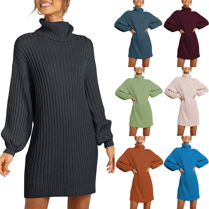 Comfortable Women's High Collar Mid-length Dress Sweaters