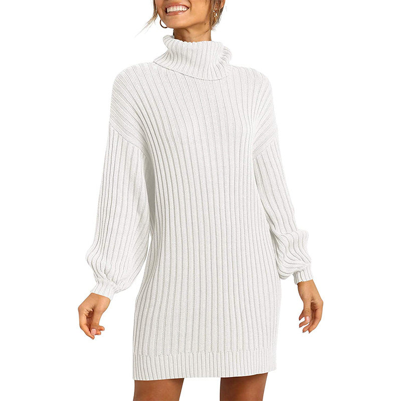 Comfortable Women's High Collar Mid-length Dress Sweaters